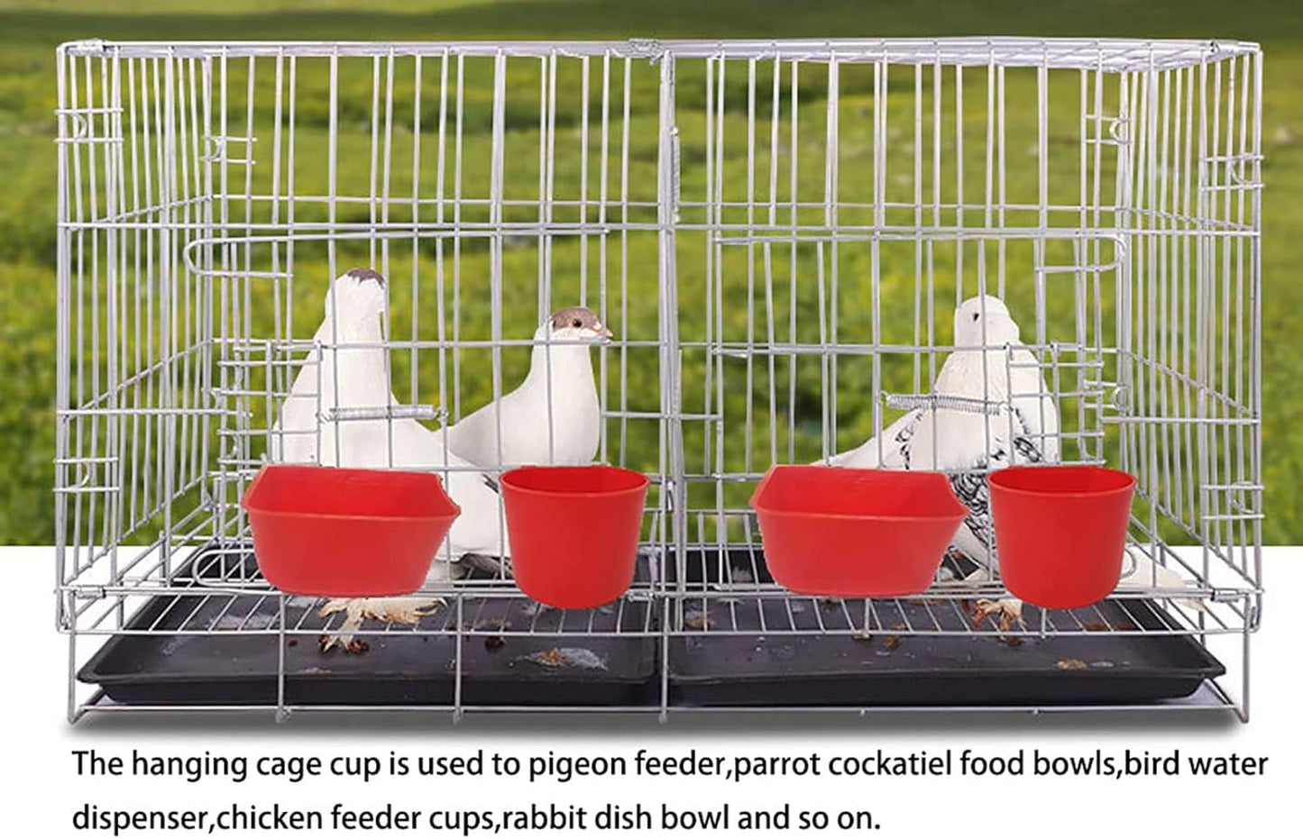 Cage Cups Birds Feeders Seed Bowl Chicken Feeding Watering Dish Rabbit Water Food Hanging Wire Cages Box 8Oz Coop Cups for Pet Parrot Parakeet Gamefowl Poultry Pigeon (10PCS Red)