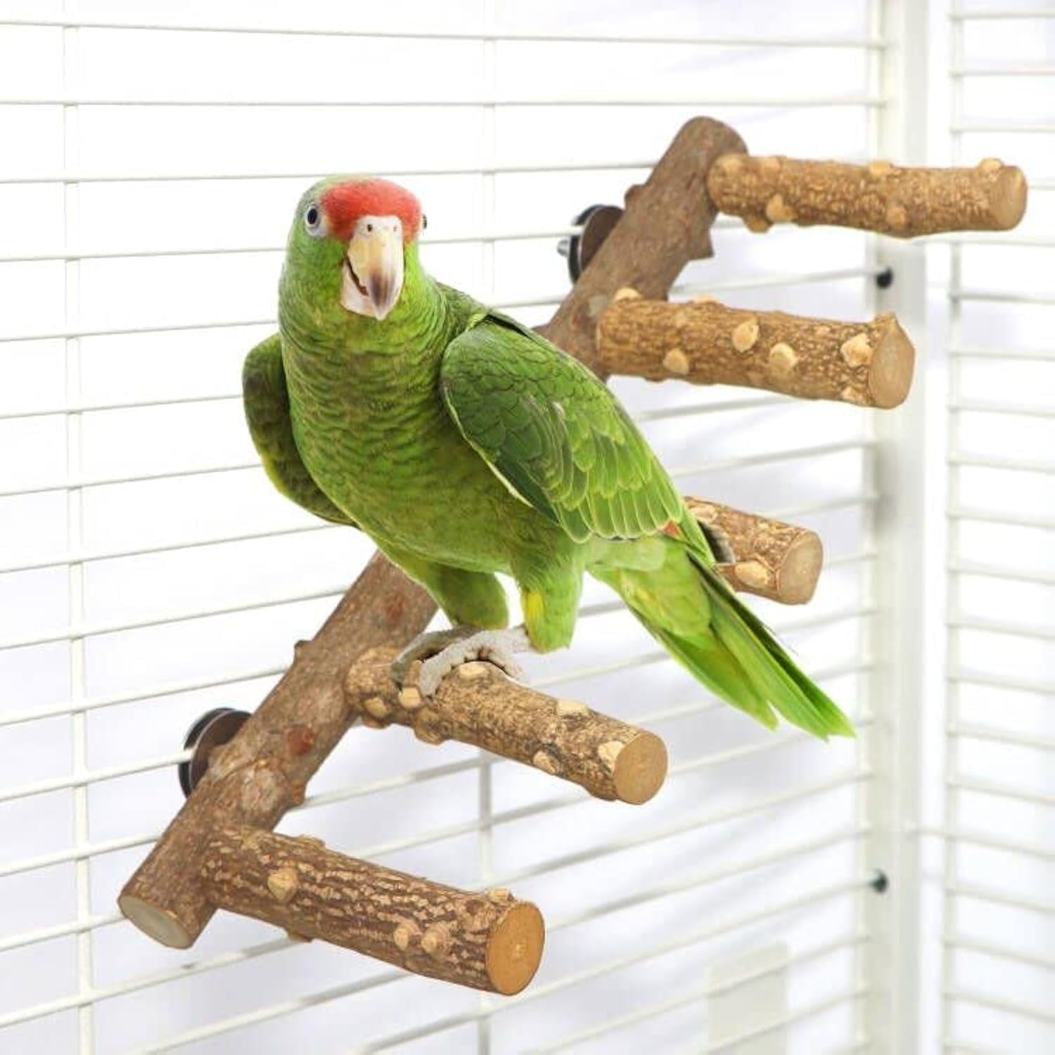 Natural Wood Bird Ladder Perch – Parrot Cage Climbing Stand & Chew Toy for Small & Medium Birds