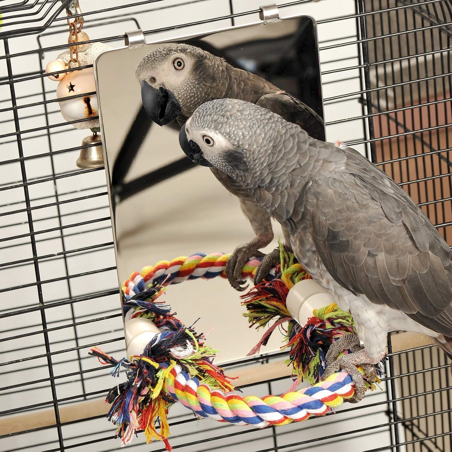 9 Inch Stainless Steel Bird Mirror with Rope Perch – Hanging Parrot Cage Toy for Cockatiels, Conures, Budgies, Lovebirds & Parakeets