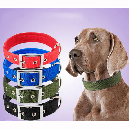 Adjustable Solid Nylon Dog Collar for Small, Medium & Large Dogs – Durable Everyday Pet Collar