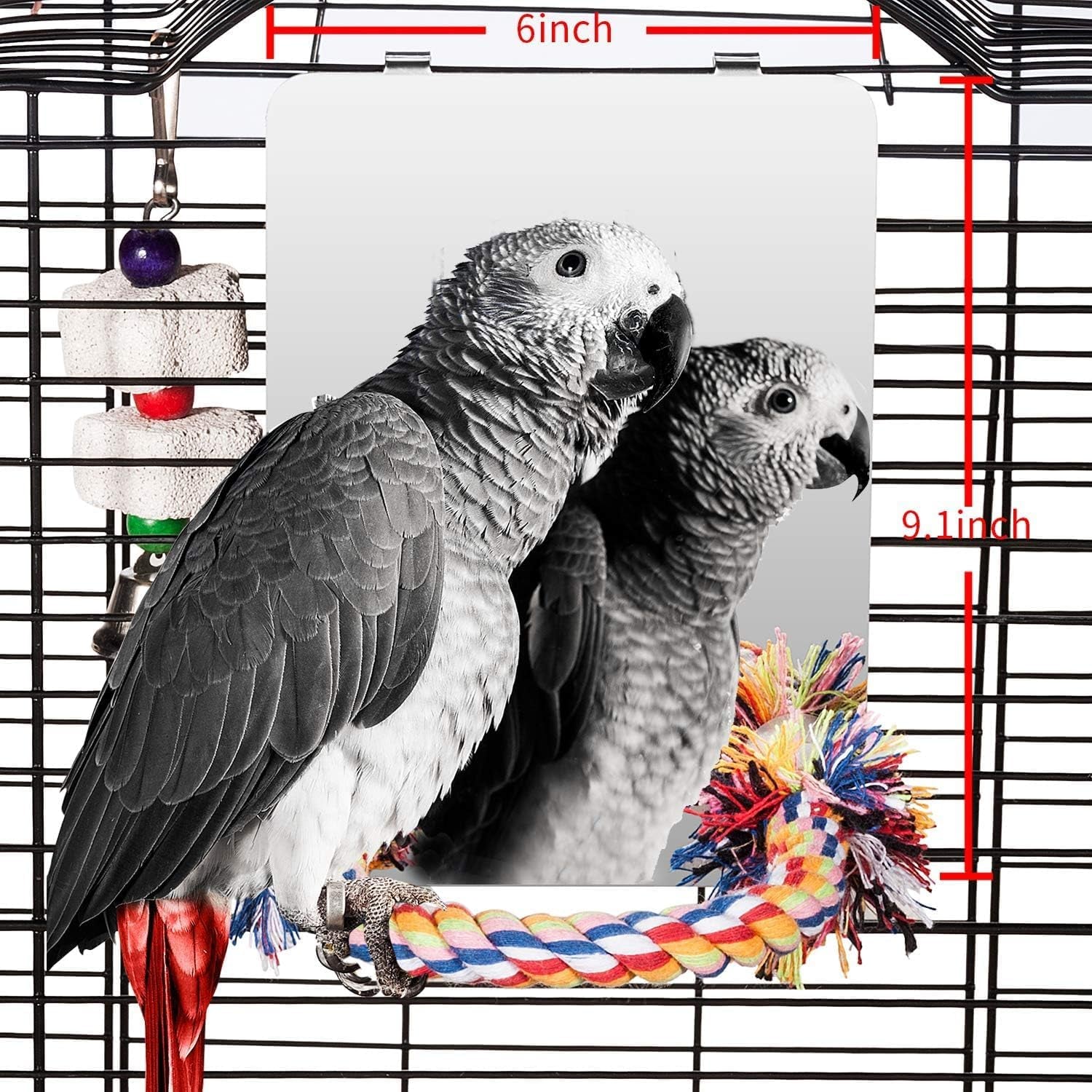 9 Inch Stainless Steel Bird Mirror with Rope Perch – Hanging Parrot Cage Toy for Cockatiels, Conures, Budgies, Lovebirds & Parakeets