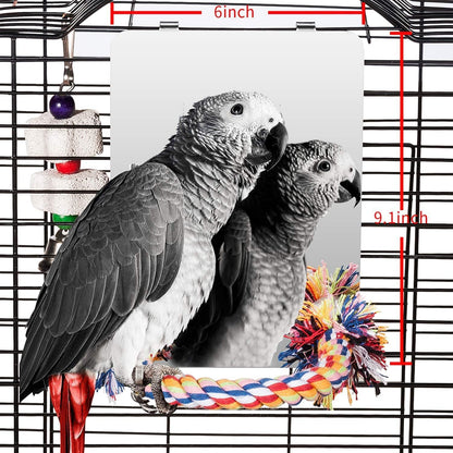 9 Inch Stainless Steel Bird Mirror with Rope Perch – Hanging Parrot Cage Toy for Cockatiels, Conures, Budgies, Lovebirds & Parakeets