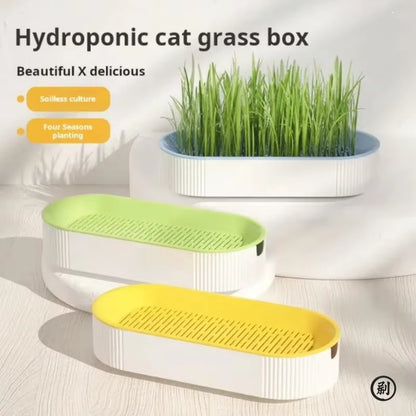 Hydroponic Cat Grass Growing Kit – Soilless Catnip Planter Box with Easy-Grow Cat Treat Grass Pot for Indoor Cats