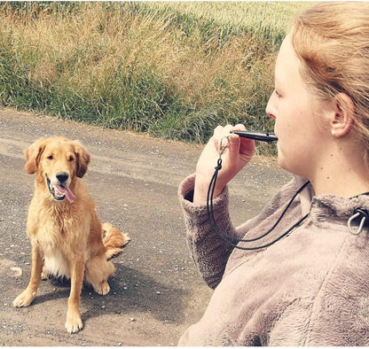 Acme Dog Whistle No. 210.5 – Loud Long-Range Dog Training Whistle, Food-Grade ABS, Made in England