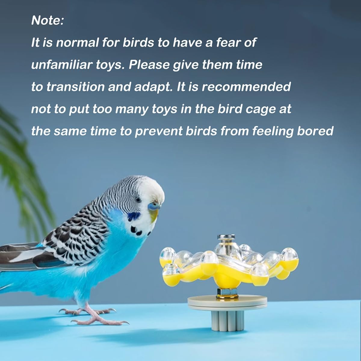 Windmill Roller Parrot Toy – Interactive Spinning Bird Toy for Conures, Cockatiels, Budgies & Lovebirds
