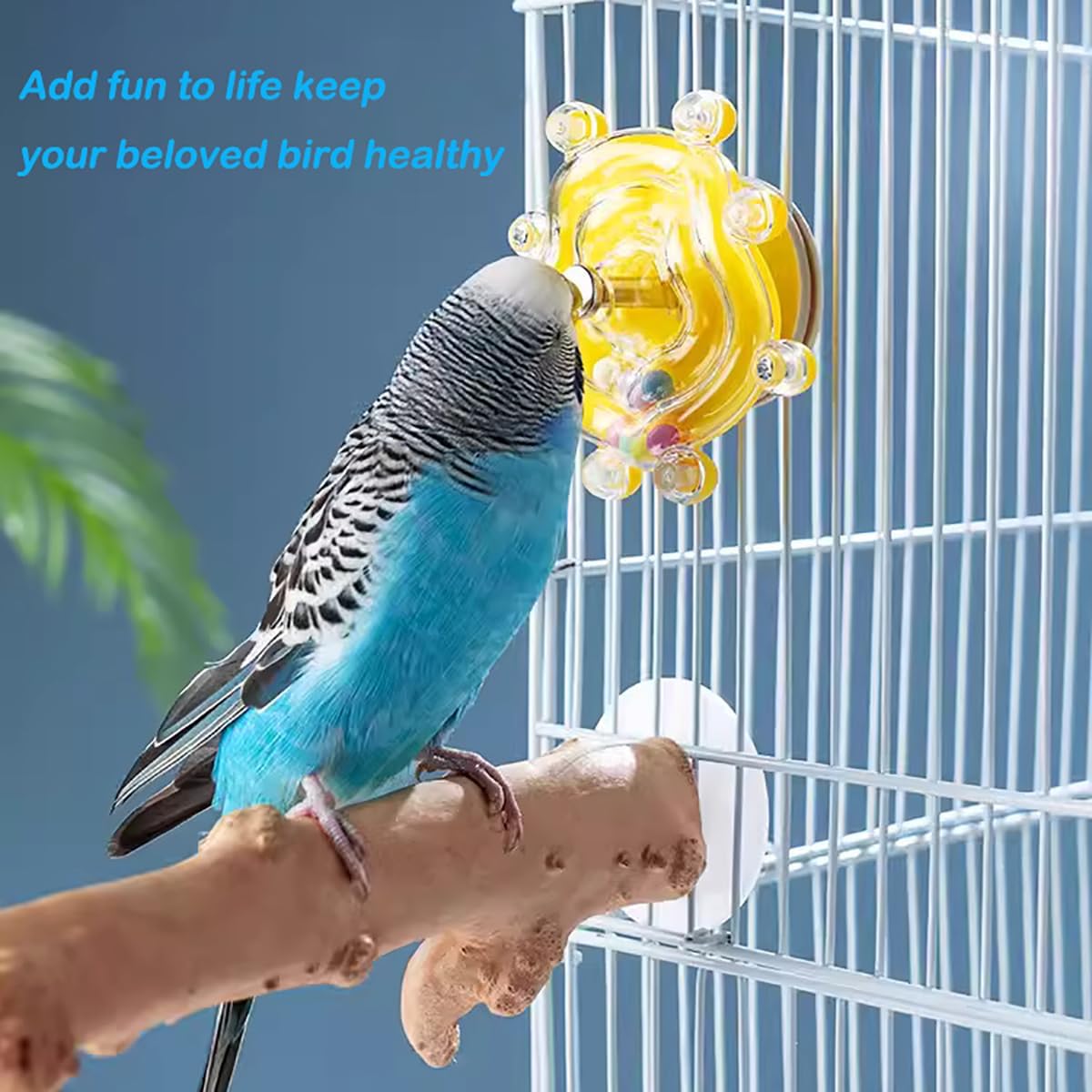 Windmill Roller Parrot Toy – Interactive Spinning Bird Toy for Conures, Cockatiels, Budgies & Lovebirds
