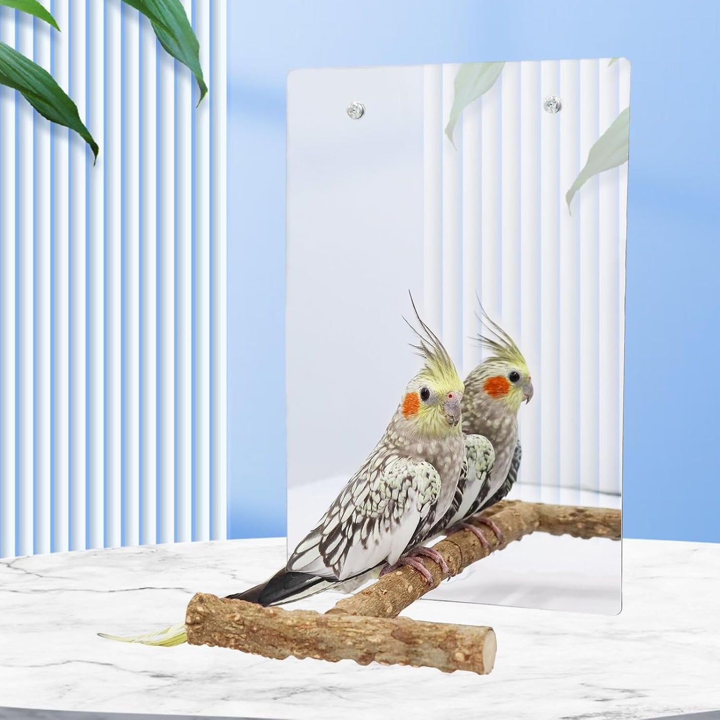 Large Bird Mirror Toy with Perch Stand, Parrot Parakeet Mirror with Bird Swing Bell Toys, Bird Cage Accessories, Suitable for Parakeet Cockatiel Conure Lovebirds - 11.8 × 7.9 Inch
