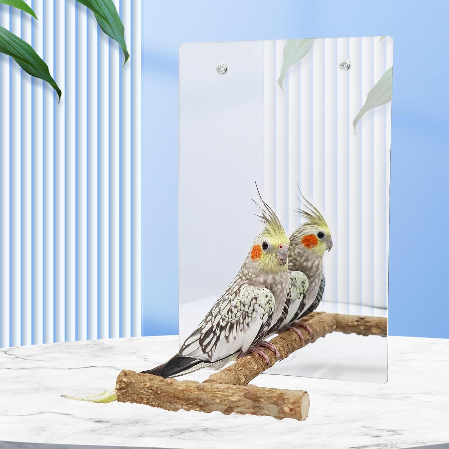 Large Bird Mirror Toy with Perch Stand, Parrot Parakeet Mirror with Bird Swing Bell Toys, Bird Cage Accessories, Suitable for Parakeet Cockatiel Conure Lovebirds - 11.8 × 7.9 Inch