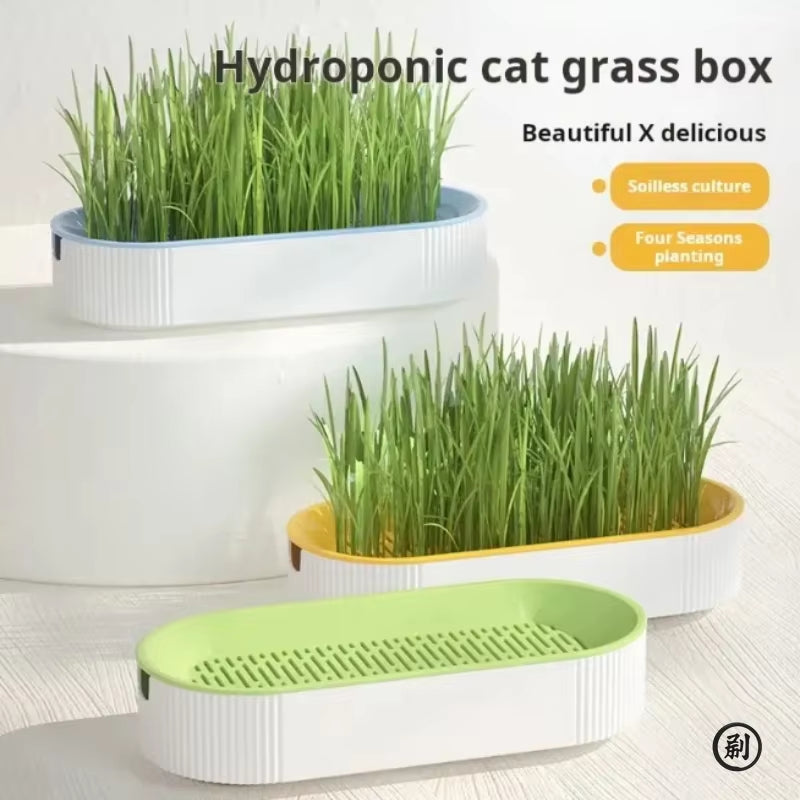 Hydroponic Cat Grass Growing Kit – Soilless Catnip Planter Box with Easy-Grow Cat Treat Grass Pot for Indoor Cats