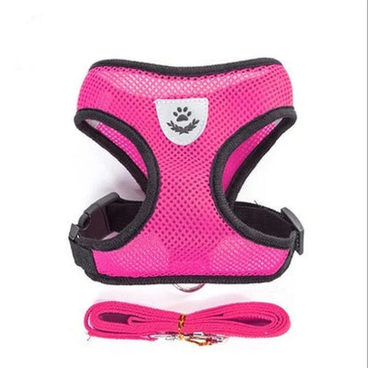 Adjustable Breathable Mesh Cat & Small Dog Harness with Lead Leash – Reflective Pet Walking Vest