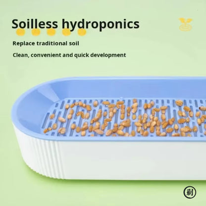 Hydroponic Cat Grass Growing Kit – Soilless Catnip Planter Box with Easy-Grow Cat Treat Grass Pot for Indoor Cats