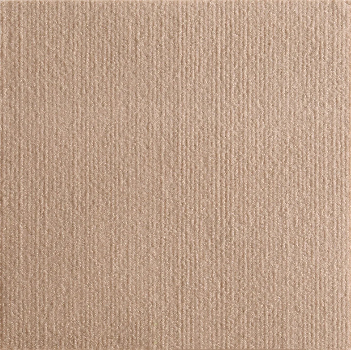 Self-Adhesive Cat Scratching Mat – Trimmable Furniture Protection Carpet for Cats