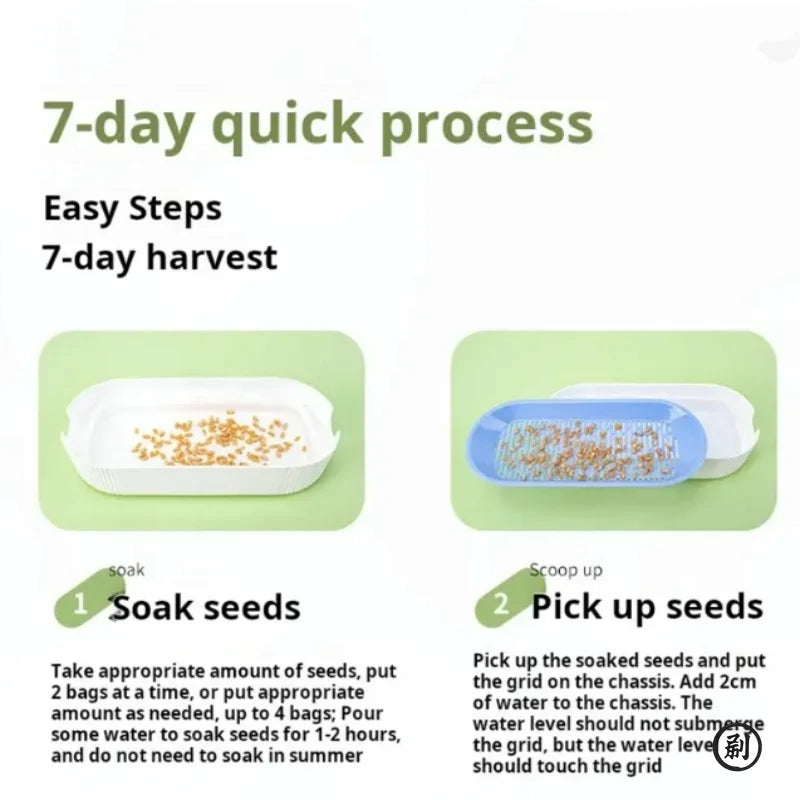 Hydroponic Cat Grass Growing Kit – Soilless Catnip Planter Box with Easy-Grow Cat Treat Grass Pot for Indoor Cats