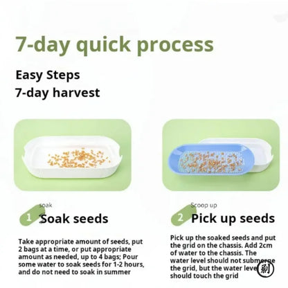 Hydroponic Cat Grass Growing Kit – Soilless Catnip Planter Box with Easy-Grow Cat Treat Grass Pot for Indoor Cats