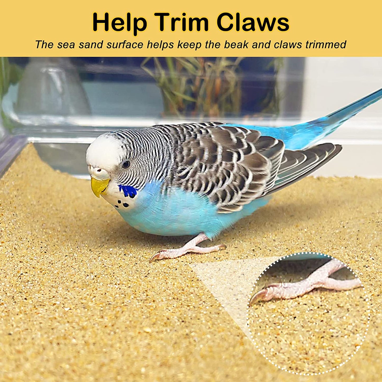 Bird Cage Gravel Paper Liners 30 Pack – 15” x 11” Sand Sheets for Easy Cage Cleaning & Bird Health