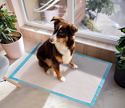Super Absorbent Puppy Training Pads 100 Pack – Leak-Free Dog Pee Pads 22” x 23”